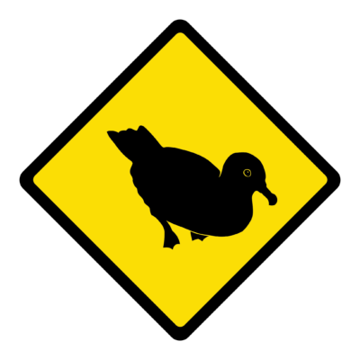 Ducks